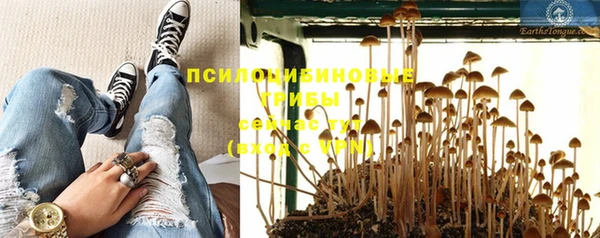 COCAINE Белокуриха