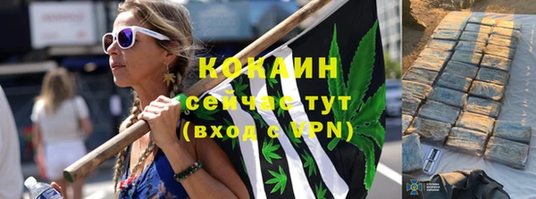 mix Богородицк