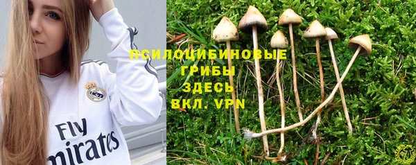 COCAINE Богданович
