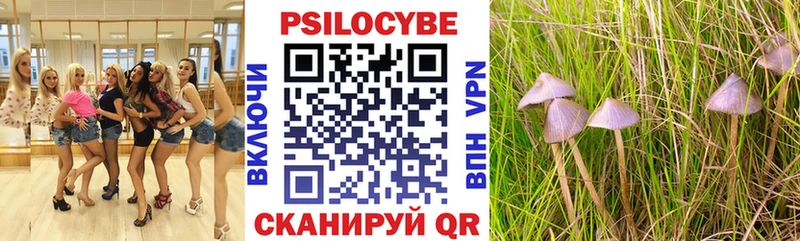 Псилоцибиновые грибы Psilocybe  Прокопьевск 
