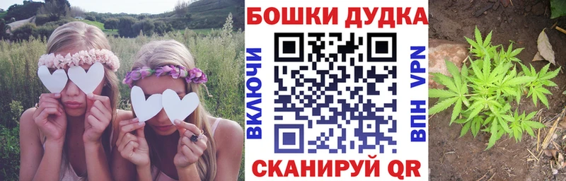 Каннабис индика закладка Прокопьевск